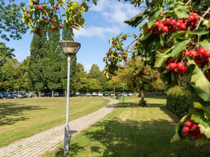 Grønt område med sti i Bystævneparken.